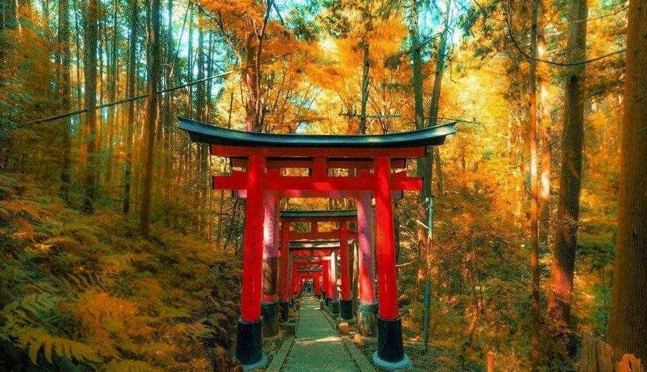 Đường hầm vạn cổng Torii đỏ rực linh thiêng tại Đền Fushimi Inari Taisha