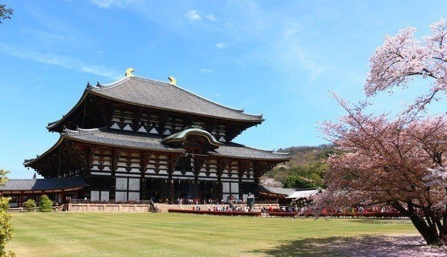 Chùa Todai-ji Nara công trình kiến trúc gỗ vĩ đại thờ tượng Đại Phật đồng