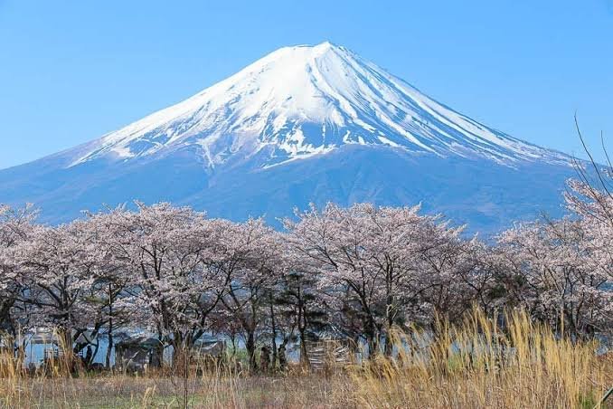 Cảnh điểm tham quan GIFU – NAGOYA – NABANA NO SATO – MIE