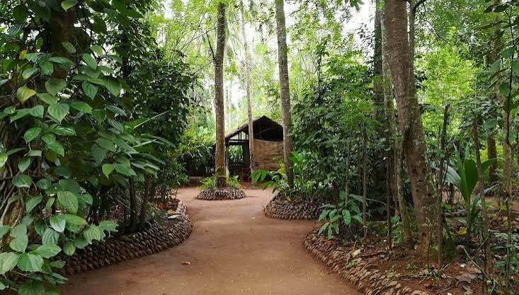 Cảnh điểm tham quan KANDY – NUWARA ELIYA