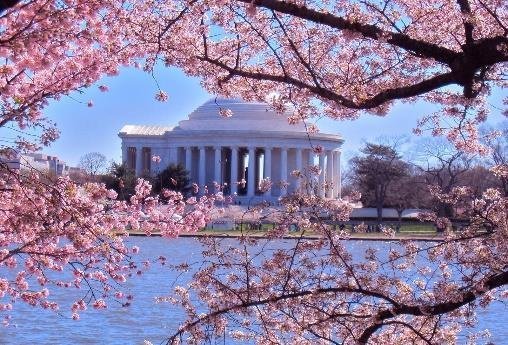 Tour Bờ Đông Hoa Kỳ 6N5Đ: New York – Philadelphia – Washington DC (Lễ Hội Hoa Anh Đào)